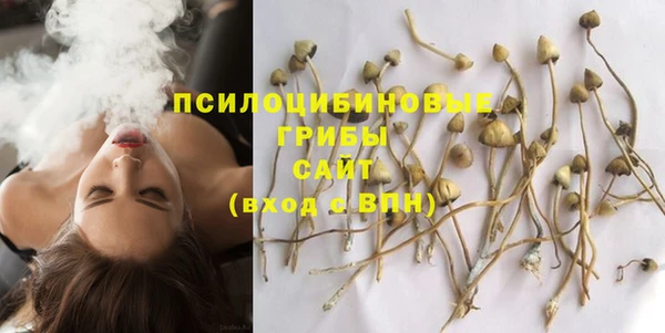 MDMA Бородино