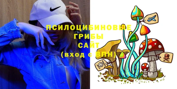 первитин Белокуриха